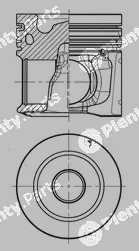 Wilmink Group WG1888735 — Piston