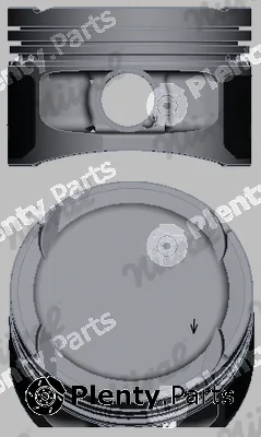 Wilmink Group WG2046429 — Piston