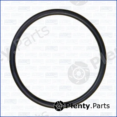 Wilmink Group WG1163666 — Seal, thermostat