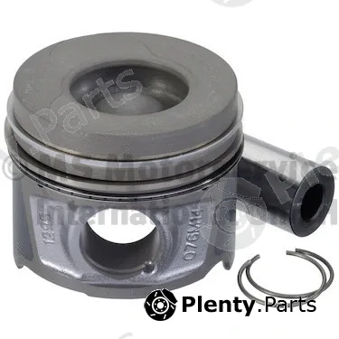 Wilmink Group WG2146738 — Piston