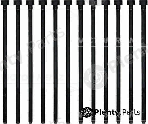 Wilmink Group WG1242963 — Cylinder Head Bolt Set