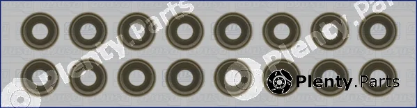 Wilmink Group WG1455700 — Seal Set, valve stem