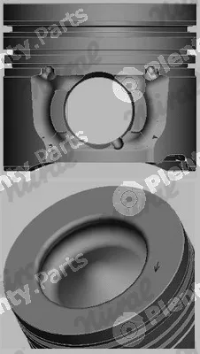 Wilmink Group WG1175834 — Piston