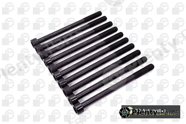 Wilmink Group WG1489992 — Cylinder Head Bolt Set