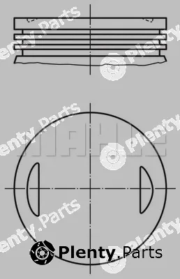 Wilmink Group WG1201255 — Piston