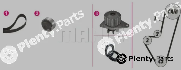 Wilmink Group WG2182213 — Water Pump & Timing Belt Kit
