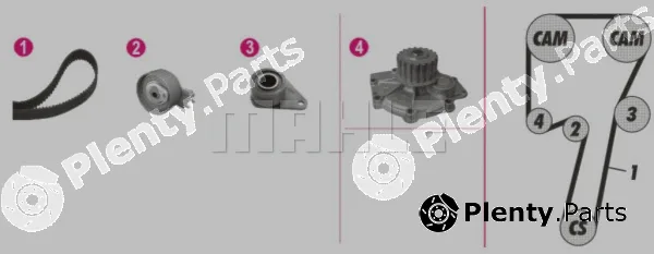 Wilmink Group WG2182215 — Water Pump & Timing Belt Kit