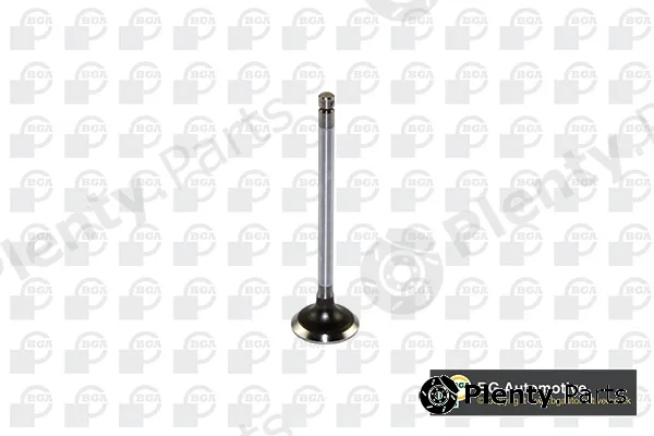 Wilmink Group WG1491237 — Intake Valve