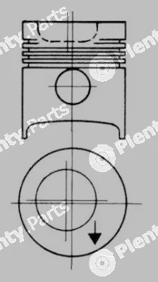 Wilmink Group WG1022938 — Piston