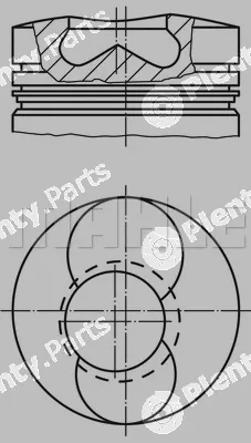 Wilmink Group WG1213579 — Piston
