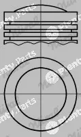 Wilmink Group WG1094157 — Piston