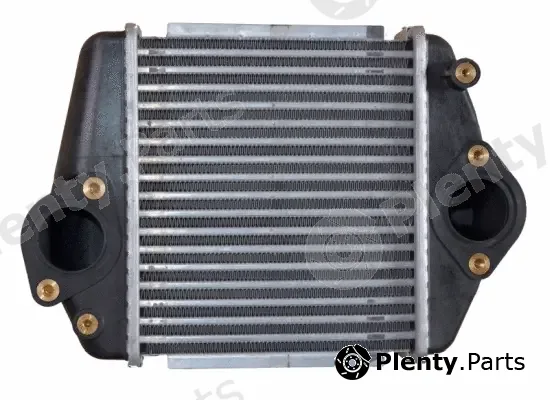 Wilmink Group WG1723913 — Charge Air Cooler
