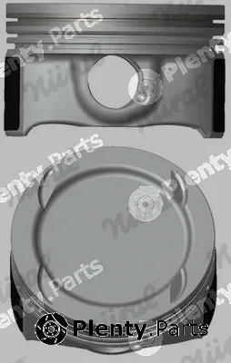 Wilmink Group WG2176676 — Piston