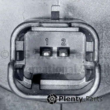 Wilmink Group WG2224585 — Auxiliary Water Pump (cooling water circuit)