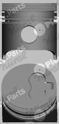 Wilmink Group WG1175336 — Piston