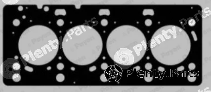 Wilmink Group WG1177859 — Gasket, cylinder head