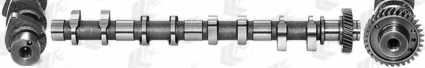 Wilmink Group WG1462578 — Camshaft