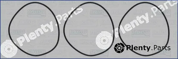 Wilmink Group WG1753847 — O-Ring Set, cylinder sleeve
