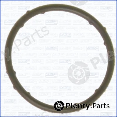 Wilmink Group WG1751295 — Gasket, coolant flange