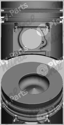 Wilmink Group WG1093984 — Piston