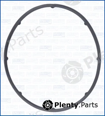 Wilmink Group WG1956815 — Gasket, water pump
