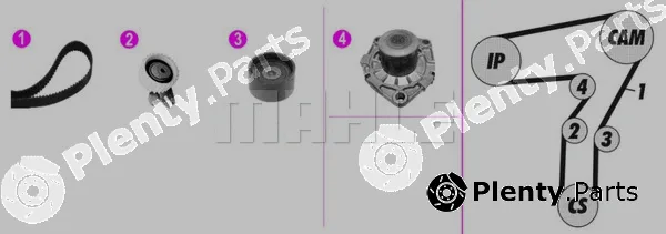 Wilmink Group WG2182103 — Water Pump & Timing Belt Kit