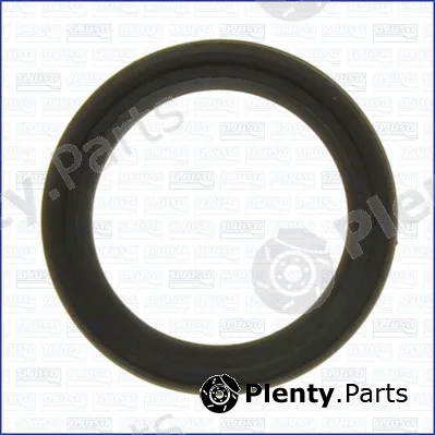 Wilmink Group WG2077202 — Seal, adjusting element (eccentric shaft)