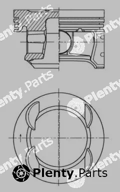 Wilmink Group WG1726255 — Piston