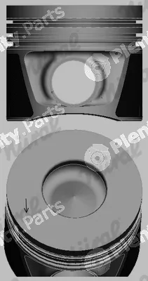 Wilmink Group WG1094074 — Piston