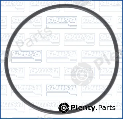 Wilmink Group WG2081753 — Gasket, vacuum pump