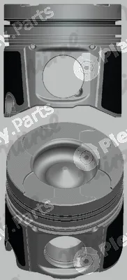 Wilmink Group WG1790944 — Piston
