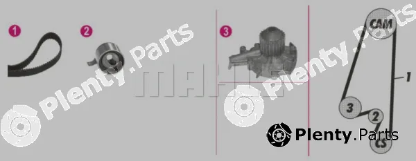 Wilmink Group WG2182200 — Water Pump & Timing Belt Kit