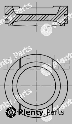 Wilmink Group WG1104458 — Piston