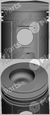 Wilmink Group WG1176094 — Piston