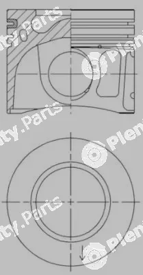 Wilmink Group WG1016764 — Piston