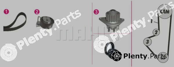 Wilmink Group WG2182173 — Water Pump & Timing Belt Kit