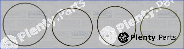 Wilmink Group WG1170254 — O-Ring Set, cylinder sleeve