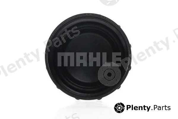 Wilmink Group WG2184251 — Cap, coolant tank