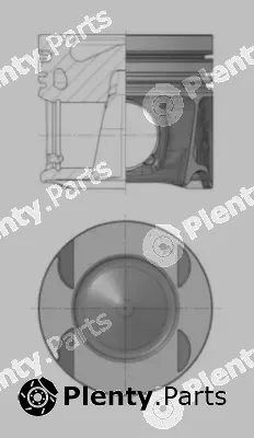 Wilmink Group WG1809725 — Piston