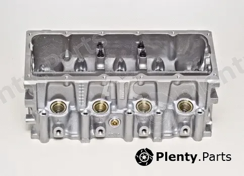 Wilmink Group WG1011029 — Cylinder Head