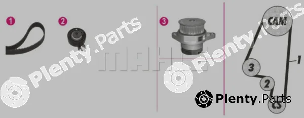 Wilmink Group WG2182183 — Water Pump & Timing Belt Kit