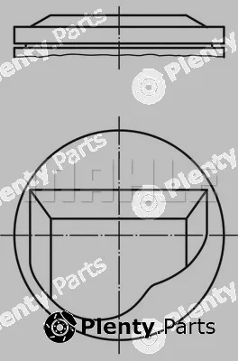 Wilmink Group WG1213415 — Piston