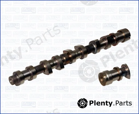 Wilmink Group WG1456313 — Camshaft