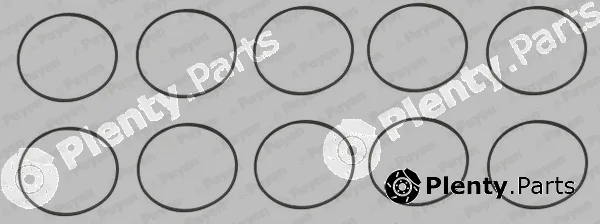 Wilmink Group WG2179571 — O-Ring Set, cylinder sleeve