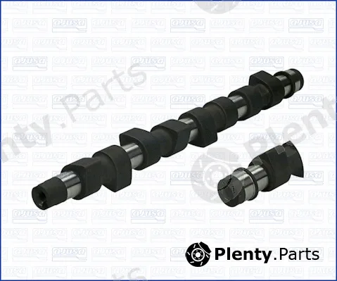 Wilmink Group WG1170917 — Camshaft
