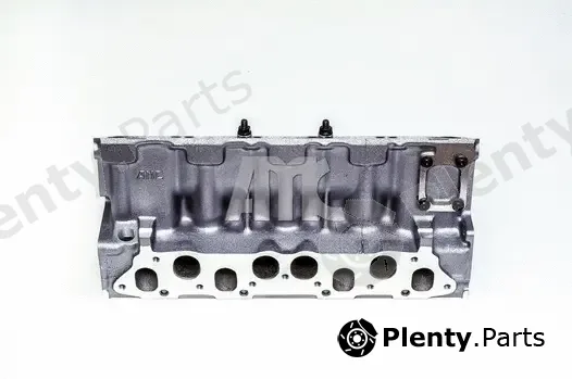 Wilmink Group WG1010985 — Cylinder Head