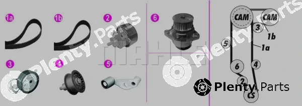 Wilmink Group WG2182224 — Water Pump & Timing Belt Kit