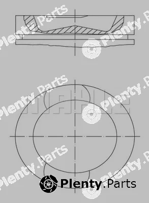 Wilmink Group WG1104586 — Piston
