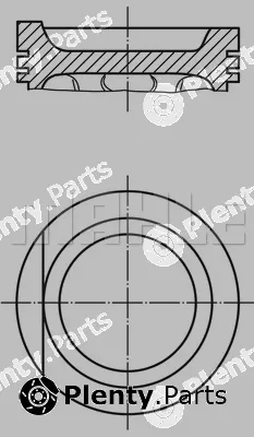 Wilmink Group WG1212429 — Piston