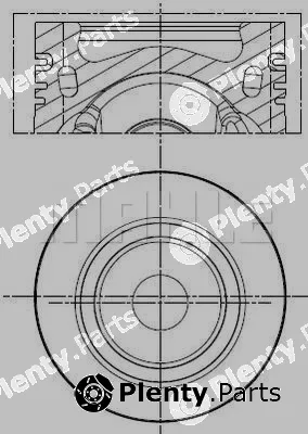 Wilmink Group WG2201196 — Piston